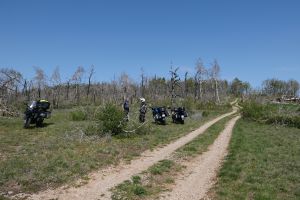 Im Waldbrandgebiet
