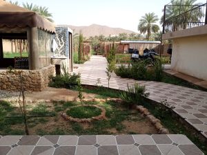 Riad im Palmenhain