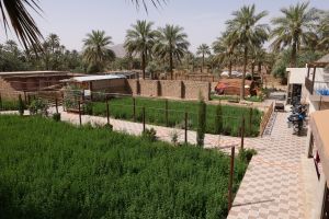 Riad-Garten